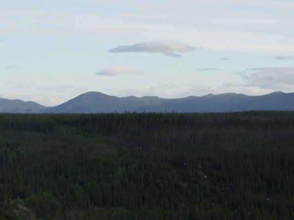 DSC00493