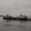 Alaska 2006 131