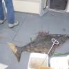 Alaska 2006 045