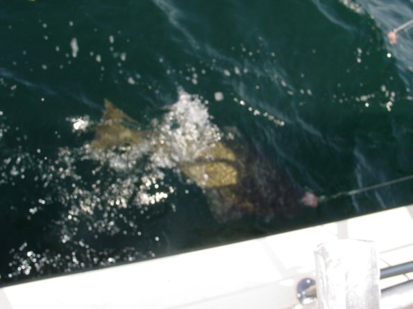 Alaska 2006 053